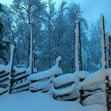 Kirkebøen Feriehus Hemsedal