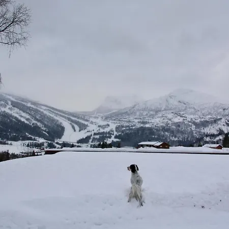 Kirkebøen * Hemsedal