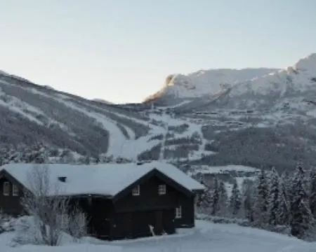 Spacious Cabin In Hemsedal, 8 Bedrooms And Sauna *