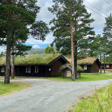 Spacious Cabin In Hemsedal, 8 Bedrooms And Sauna Hemsedal