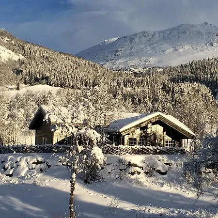 Spacious Cabin In Hemsedal, 8 Bedrooms And Sauna Hemsedal